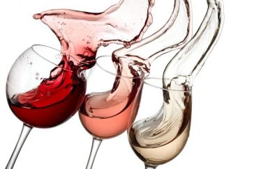 Diferentes Tipos de Vinhos