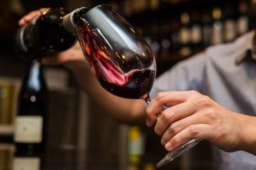 Qual a Diferença entre Merlot e Malbec