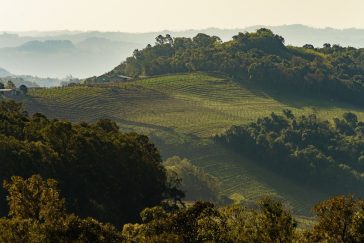 Denominação de Origem Vale dos Vinhedos