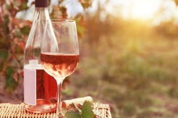 Qual o Melhor Vinho Rosé?