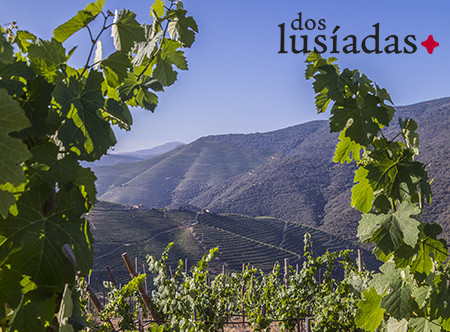 Domaine dos Lusíadas