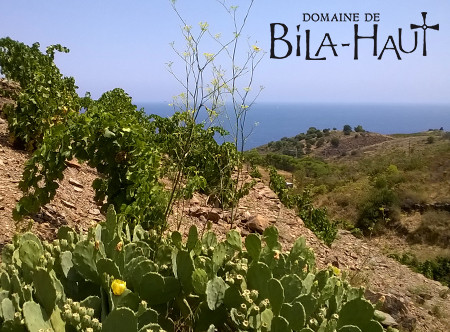 Domaine de Bila-Haut