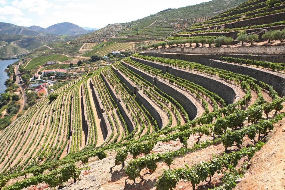 Vinhas Velhas - Quinta de Vargellas