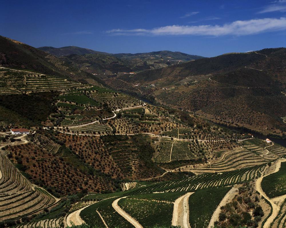 Douro