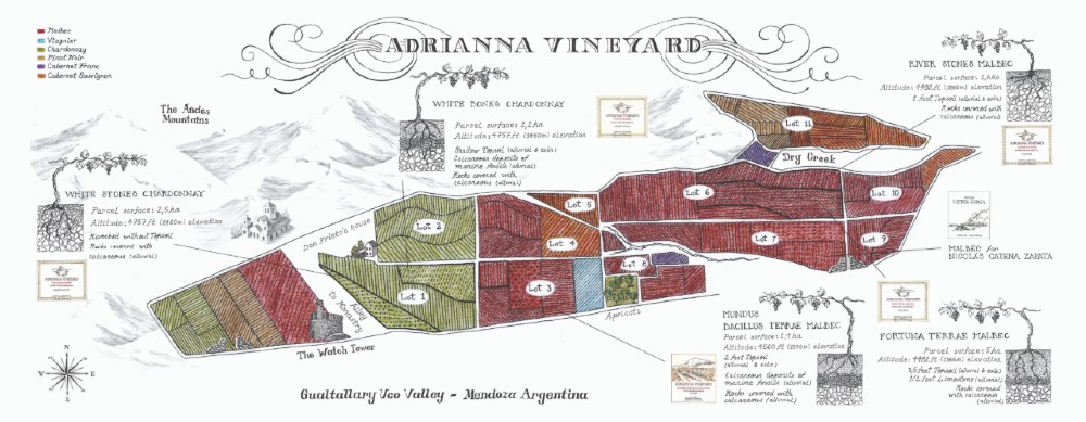 Mapa Vinhedos Adrianna