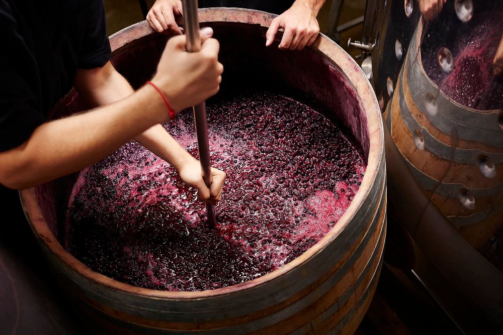 Imagem do método pigeage para fermentação de vinho sendo feito por profissionais.