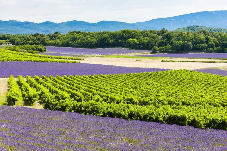 Provence