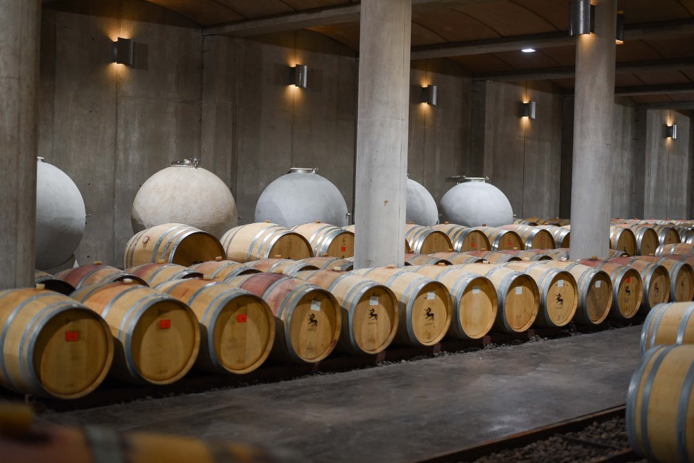 Sala das Barricas Odfjell Vineyards