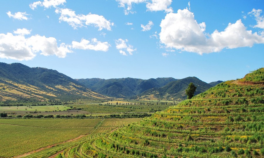 Vale do Colchagua