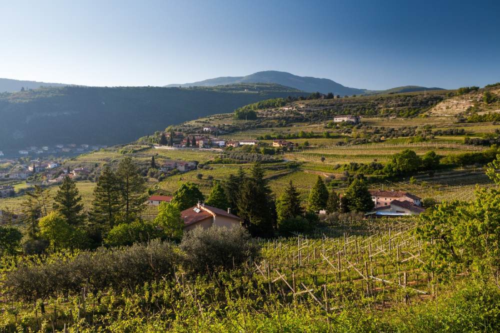 Valpolicella