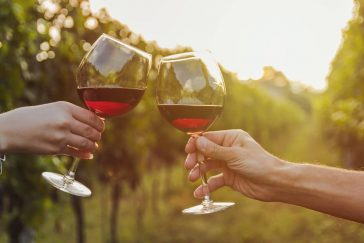 Como Segurar a Taça de Vinho