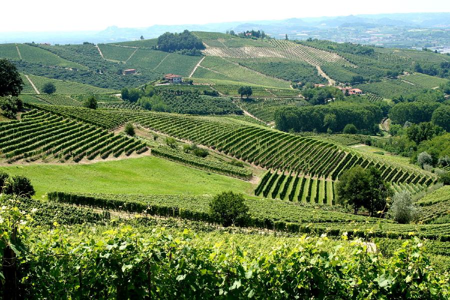 Piemonte