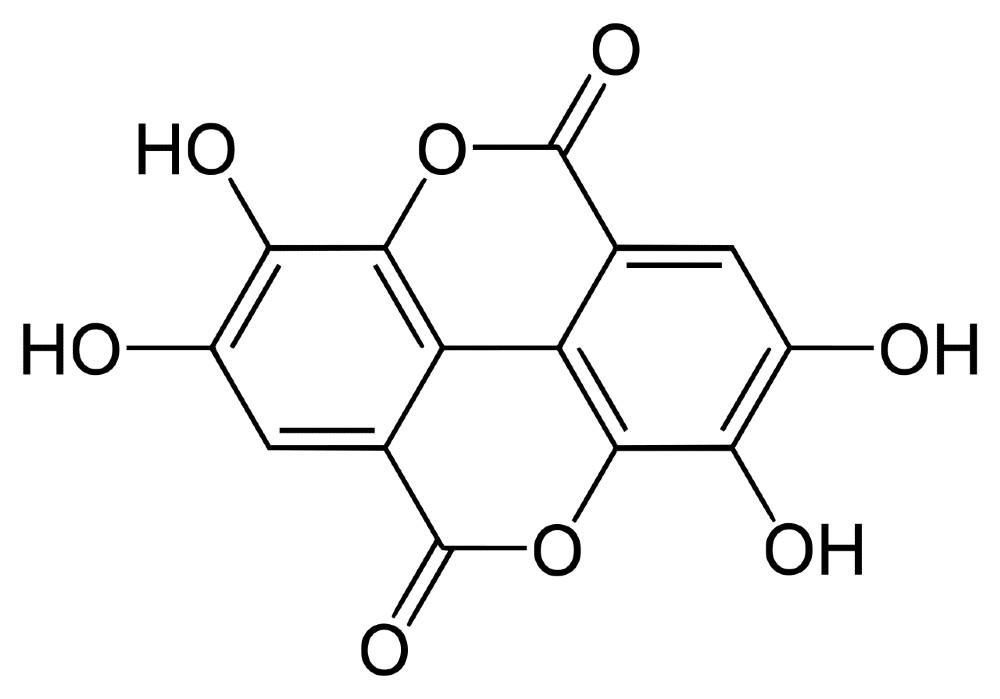 Estrutura do Polifenol