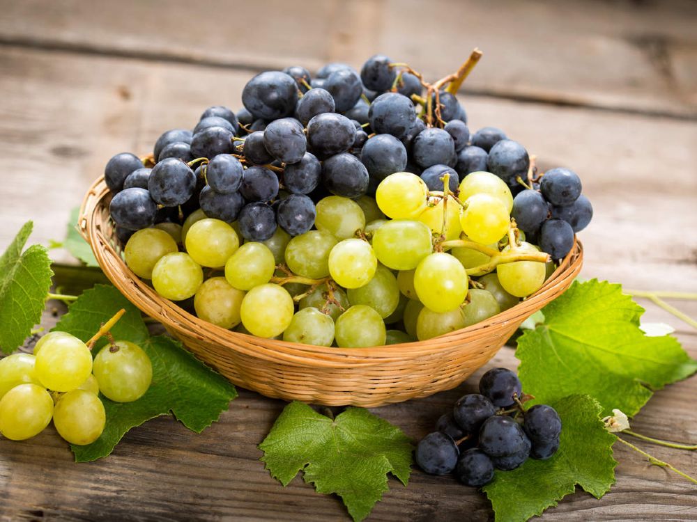 Novas Uvas