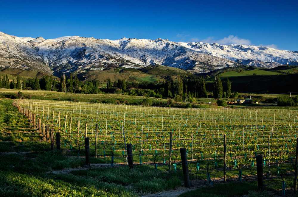 Central Otago