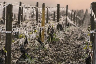 Devastação Climática na França