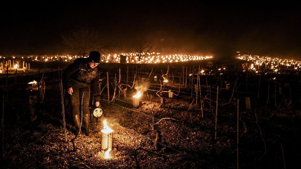 Produtores acedem velas nos vinhedos na França