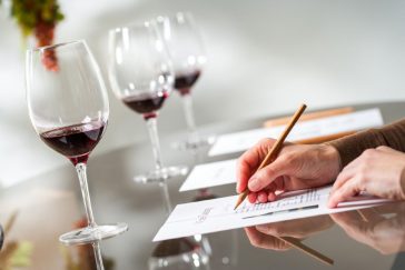 Cursos de Vinho