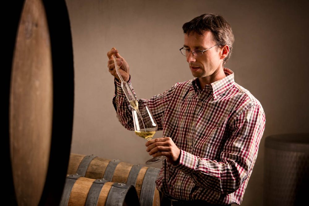 Enólogo em frente a um barril de carvalho segurando uma taça de vinho branco enquanto analisa sua qualidade.

