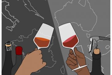 Diferença Vinhos Velho Mundo e Novo Mundo