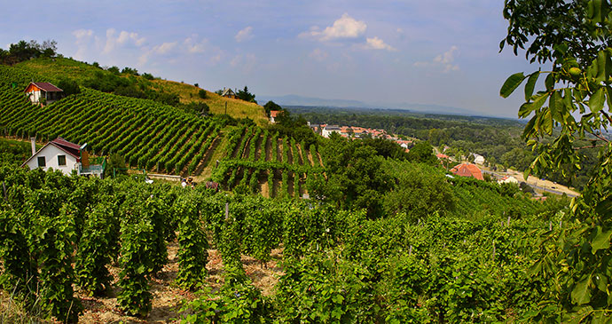 Região de Tokaj