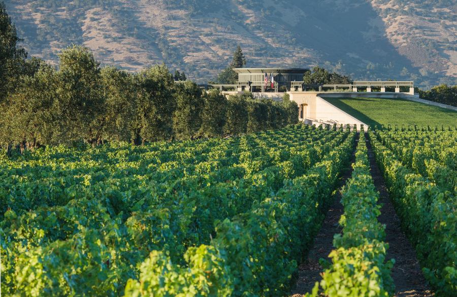 Vinhedos Opus One Winery