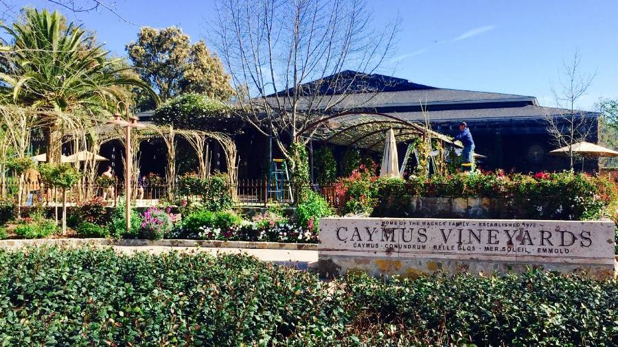 Caymus Vineyards