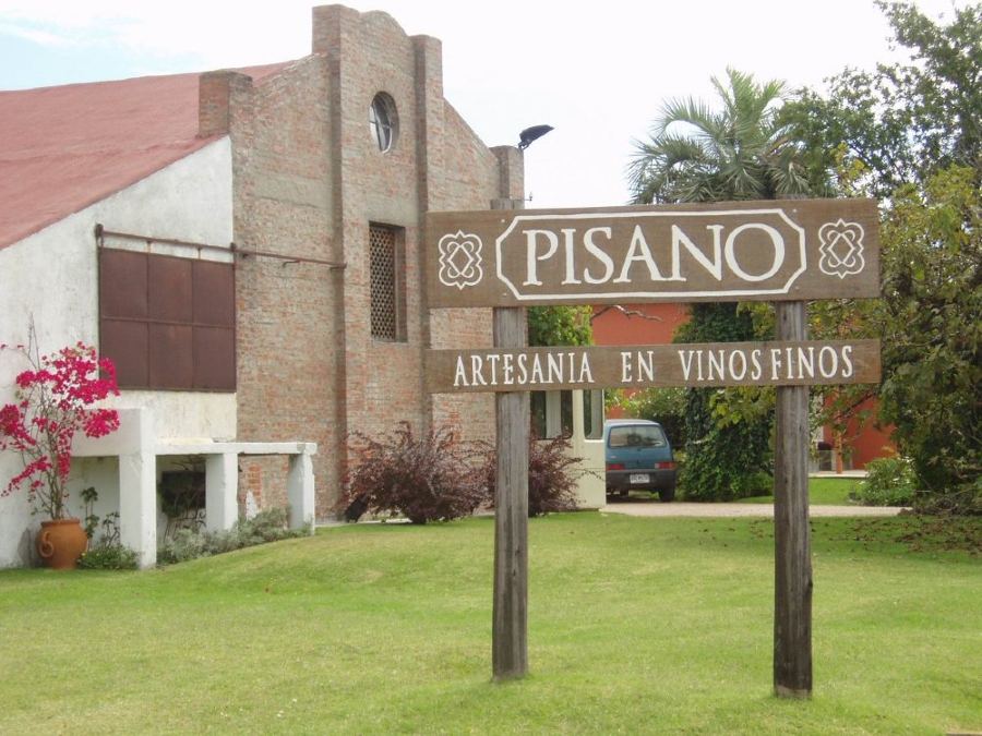 Pisano