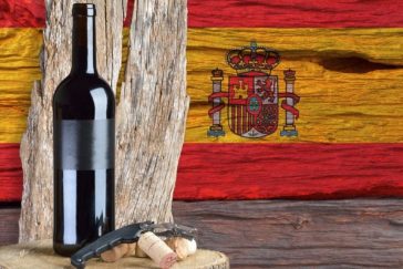 Vinícolas para conhecer na Espanha