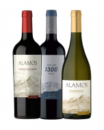 Kit 3 Vinhos Argentinos Campeões de Vendas